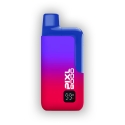 PIXL 8000 Prefilled Pod Kit